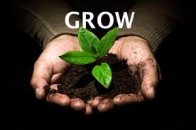grow